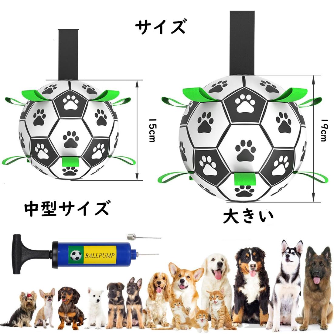 サンプル画像3