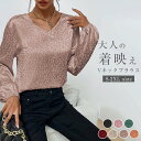 ブラウス レディース Vネック 春 秋トップス ヒョウ柄 長袖 総柄 シフォン フェミニン 着回し シンプル おしゃれ 大人 カジュアル こなれ感 早春 きれい...