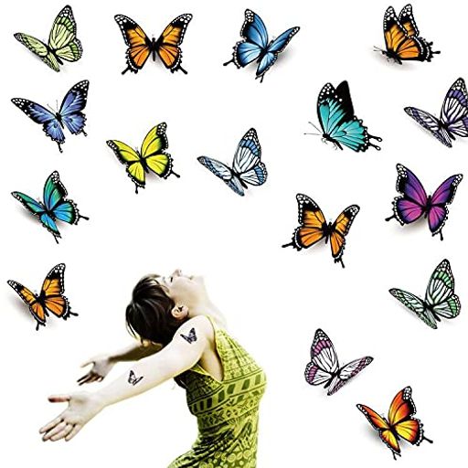 Fanoshon16羮ĳ3DȥҶλҡΤˡեʥܥǥȤΰŪʴΥȥХե饤襤ץ쥫åȤĳ...