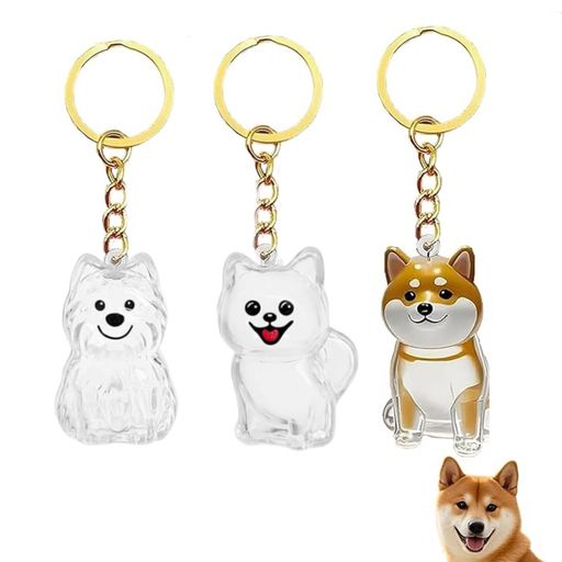 YFFSFDC 犬の毛 収納 キーホルダー 3個セット透明ボトル 毛髪収集容器展示ケースペ...