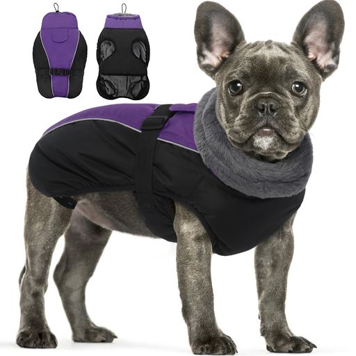 IECOii󥸥㥱åȸɴȤµʤȥͥåɴ٥ȸĴǽæñȿͥȥåɿŬѥѡץS