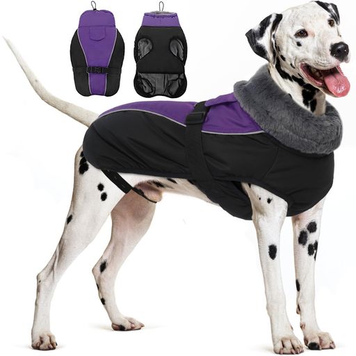 IECOii󥸥㥱åȸɴȤµʤȥͥåɴ٥ȸĴǽæñȿͥȥåɿ淿Ŭѥѡץ2XL