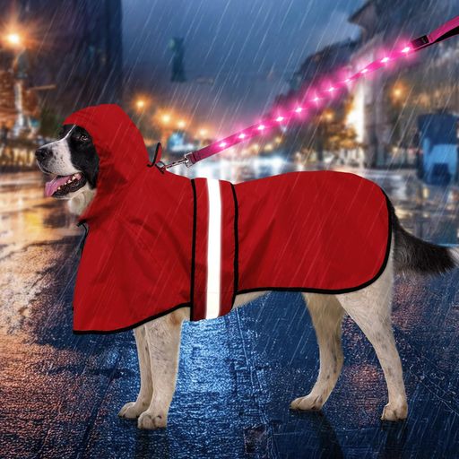 Weesiber쥤󥳡ȥڥåȥ쥤󥳡ȥå100%ɿȿ˹߱к̵ĴǽæñѾ淿緿ѱ...