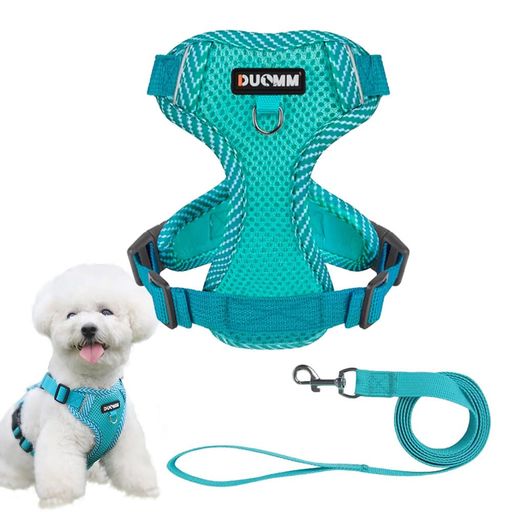 ペット用ハーネス&リードセット犬ハーネス小型犬猫中型犬おしゃれ犬用胴輪負担が少ない犬具ダブルロックメッシュ抜けにくい犬具簡単装着イヌドッグお出かけ散歩外出(レイクブルーL)