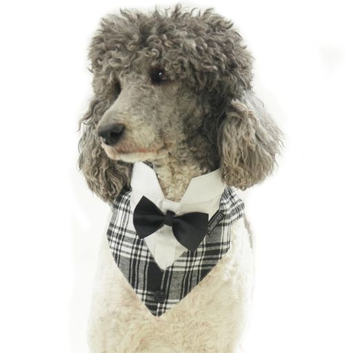 犬バンダナタキシード襟フォーマルドッグスカーフカラー蝶ネクタイリボン調整可小型中型大型犬猫結婚式..