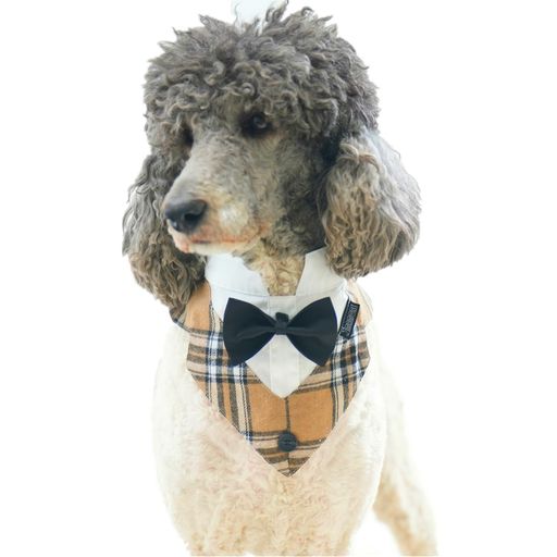 犬バンダナタキシード襟フォーマルドッグスカーフカラー蝶ネクタイリボン調整可小型中型大型犬猫結婚式..
