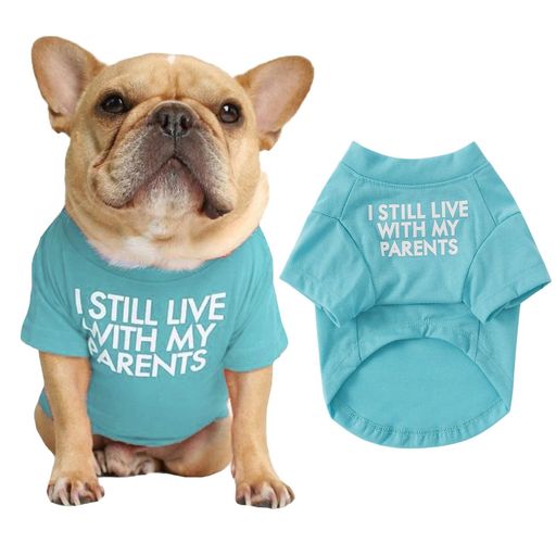 犬服犬の服犬服春夏タンクトップTシャツ小型犬服春夏中型犬薄手服チワワ夏服猫服ペットの服柔らかい通..