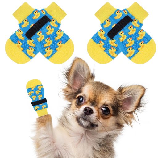 BINGPET�������ڥå��ѷ������ߤ�4�ĥ��å������ݸ�ѷ����ɳ꥽�å������餫��æ���ʤ����襤��ž���ɻ߼��������̵���Ϸ�����ݡ���­�Ӥ��ɻߤ��襤����...