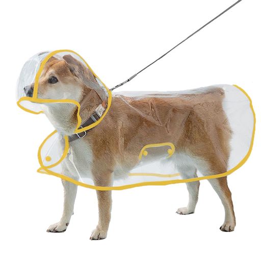 [Nyoniko(˥˥)]ѥ쥤󥳡ȥڥåȥ쥤󥳡ȥåѥݥޥȾ淿緿ƸƩʹ˹դ夻䤹ѿѵ褱...