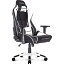  Gaming GoodsAKRacing ߥ󥰥 Pro-X V2 Gaming Chair (White) ѵPU쥶ǺĥϤ˺ Pro-X V2꡼