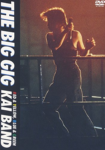 THE BIG GIG [DVD]