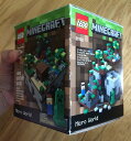 LEGO CUUSOO 21102 Minecraft Micro World レゴ クーソー マインクラフト