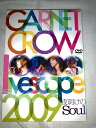 GARNET CROW livescope 2009~夜明けのSoul~ [DVD]