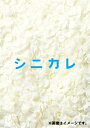 シニカレ完全版 DVD-BOX