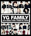 YG FAMILY WORLD TOUR 2014 -POWER- in Japan (Blu-ray Disc2枚組)
