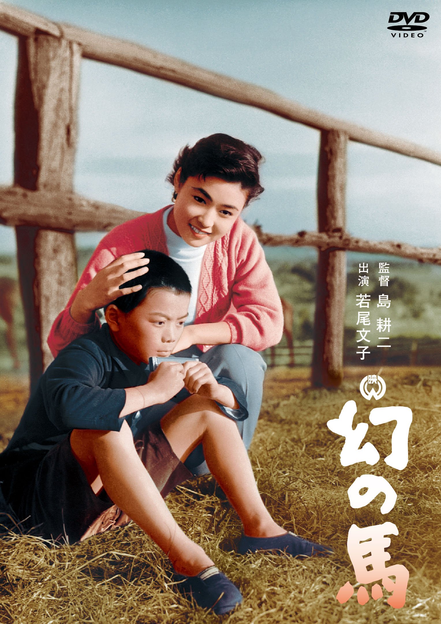  [DVD]
