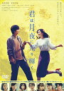 君は月夜に光り輝く DVD通常版