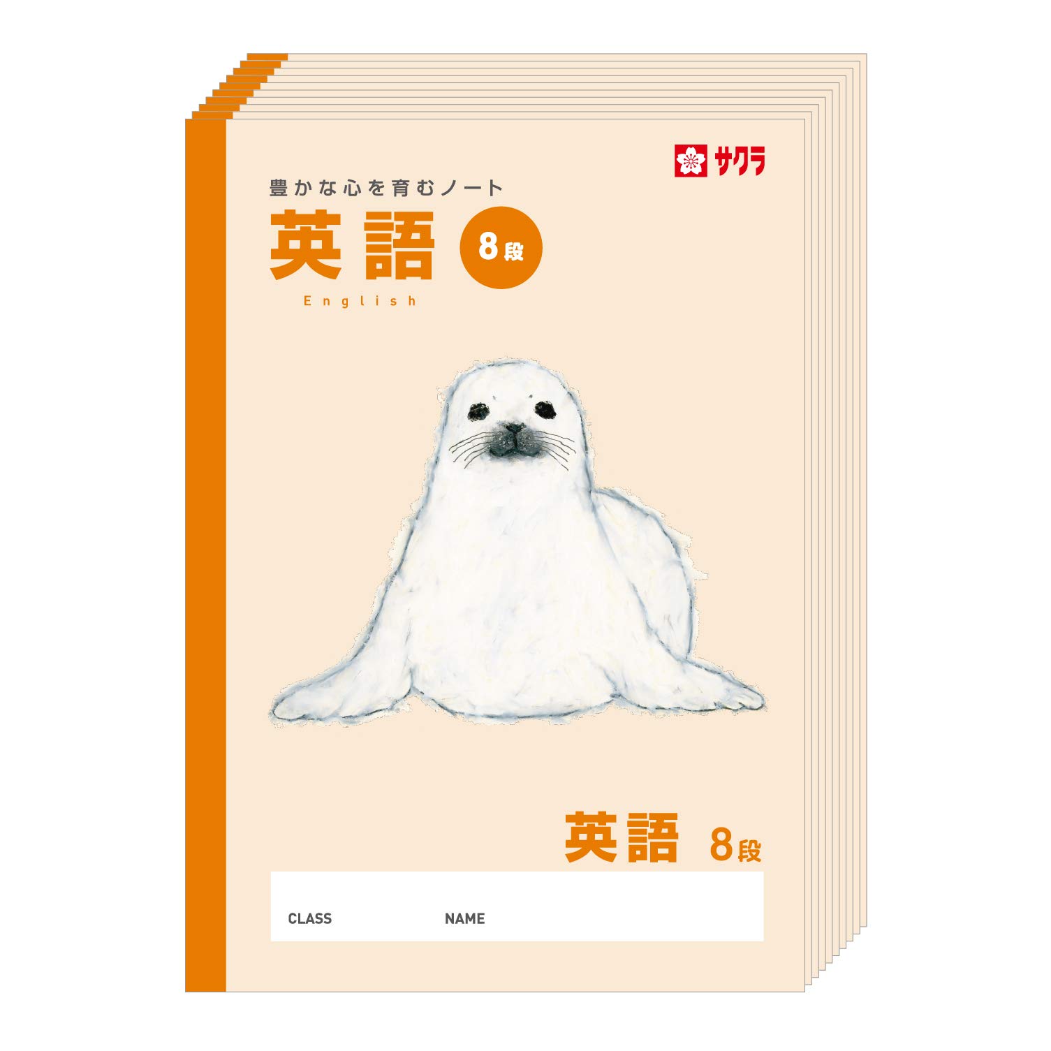 饯ѥ ؽĢ ʹǥ ѽ8 饷 10ѥå NP92(10)