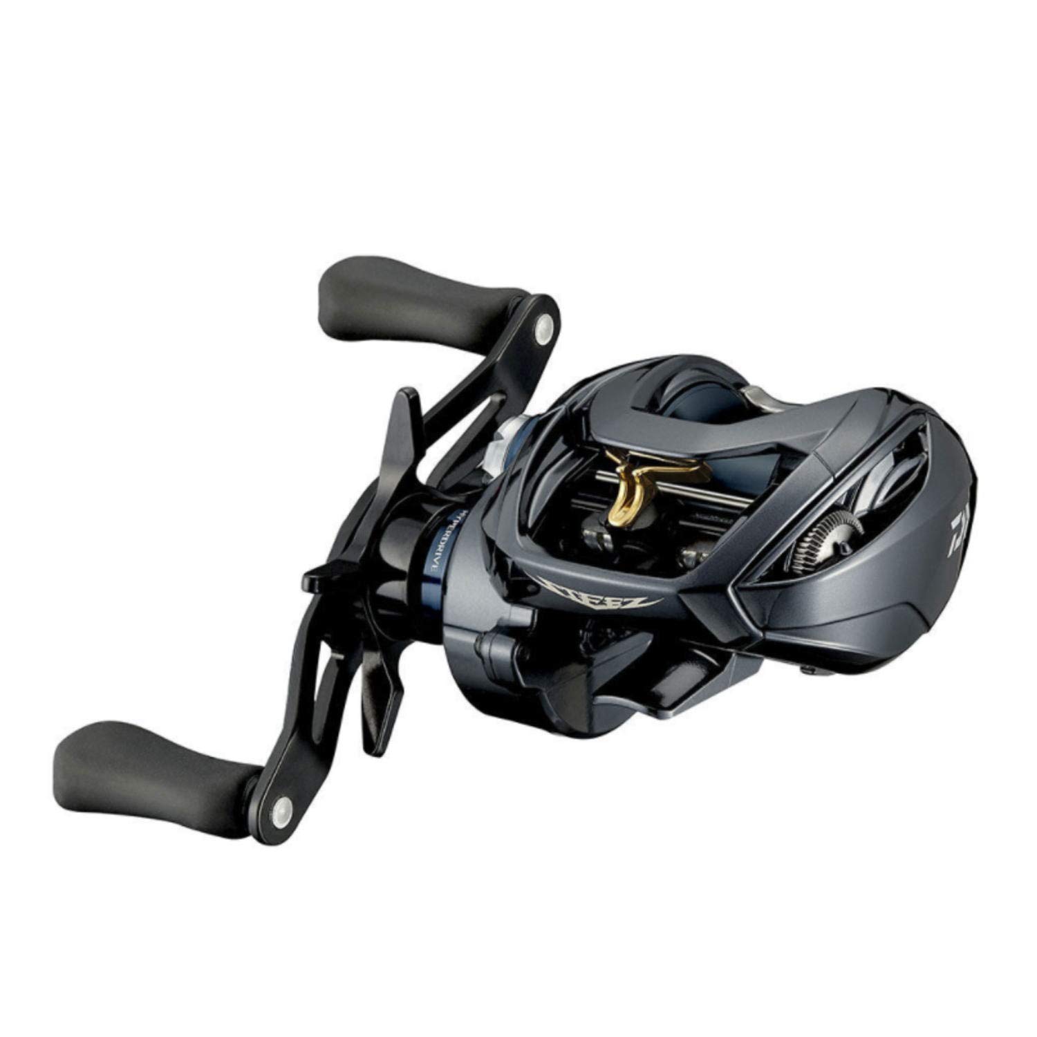 ダイワ(DAIWA) 21 スティーズ A TW HLC 7.1R