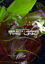 NCT 127 2ND TOUR 'NEO CITY : JAPAN - THE LINK'(通常盤)(Blu-ray Disc)