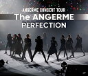 AW CONCERT TOUR -The ANGERME- PERFECTION(TȂ) [Blu-ray]