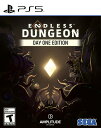 The Endless Dungeon Launch Edition ...(2)