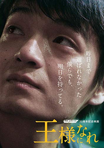 the pillows 30周年記念映画「王様になれ」通常版(DVD)