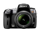 ソニー ソニー SONY デジタル一眼レフ α550 ズームレンズキット DT 18-55mm F3.5-5.6 SAM付属 DSLRA550L