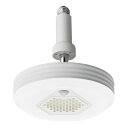 ドウシシャ オゾン発生器搭載 小型ライト ソケットモデル 人感センサー付き 60W 昼白色 ルミナスLED