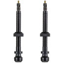 シュワルベ(SCHWALBE) 正規品SCHWALBE チューブレスバルブ 3471 自転車用 ブラック バルブ長60mm
