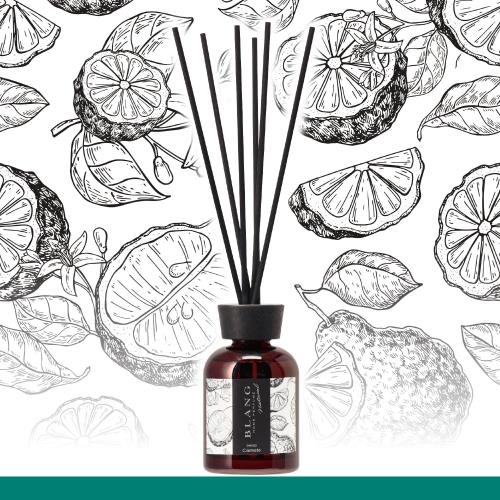 カーメイト(CARMATE) BLANG ブラング 部屋用 リードディフューザー 芳香剤 天然香料 消臭剤配合 ホワイトベルガモットの香り DH563