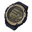 CASIO カシオ AE-3000W-9A/AE3000W-9A ワール