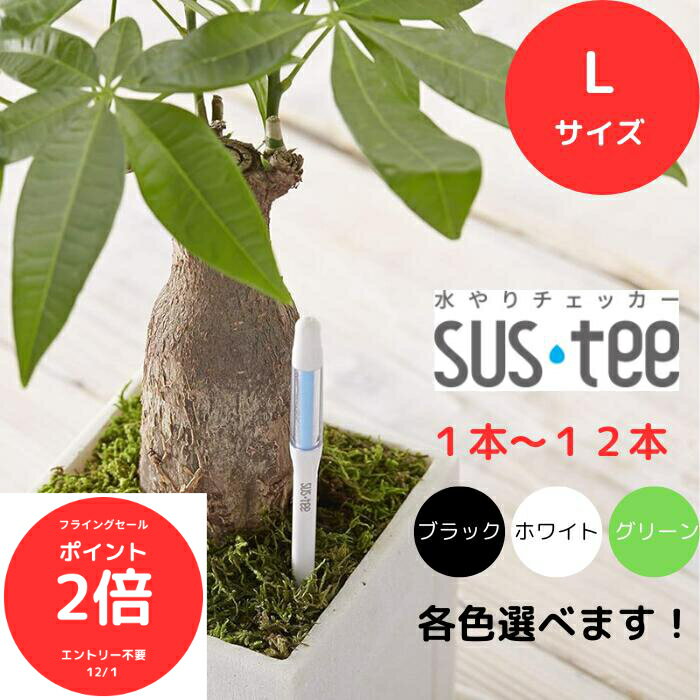 （全品ポイント2倍　フライングセール中）送料無料 サスティー SUStee 水やりチェッカー L ホワイト 白 グリーン 緑 ブラック 黒 水やり 観葉植物 管理 簡単 適切なタイミング 枯らさない 正しい水やり 色で分かる 6号 7号 8号 9号