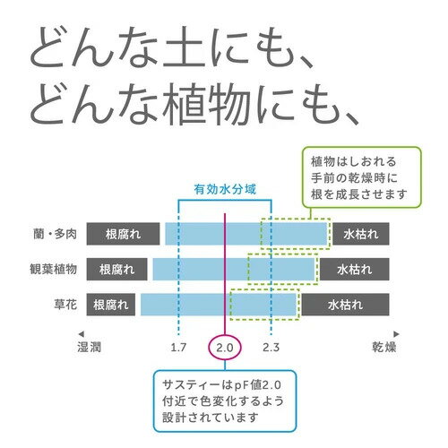 水やりチェッカー サスティー L サイズ 　12本セット キャビノチェ SUSTEE　ホワイト グリーン 色はホワイトかグリーンからお選び頂けます。 3