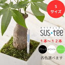 【Sサイズ 1〜12本セット】SUStee サスティー 水やりチェッカー 観葉植物用 ホワイト・グリーン・ブラックの3色から選べる◎根の乾き具合が一目でわかる便...