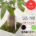 ポイント5倍 【Mサイズ 1〜12本セット】SUStee サスティー 水やりチェッカー 観葉植物用 ホワイト・グリーン・ブラックの3色から選べる◎根の乾き具合が...