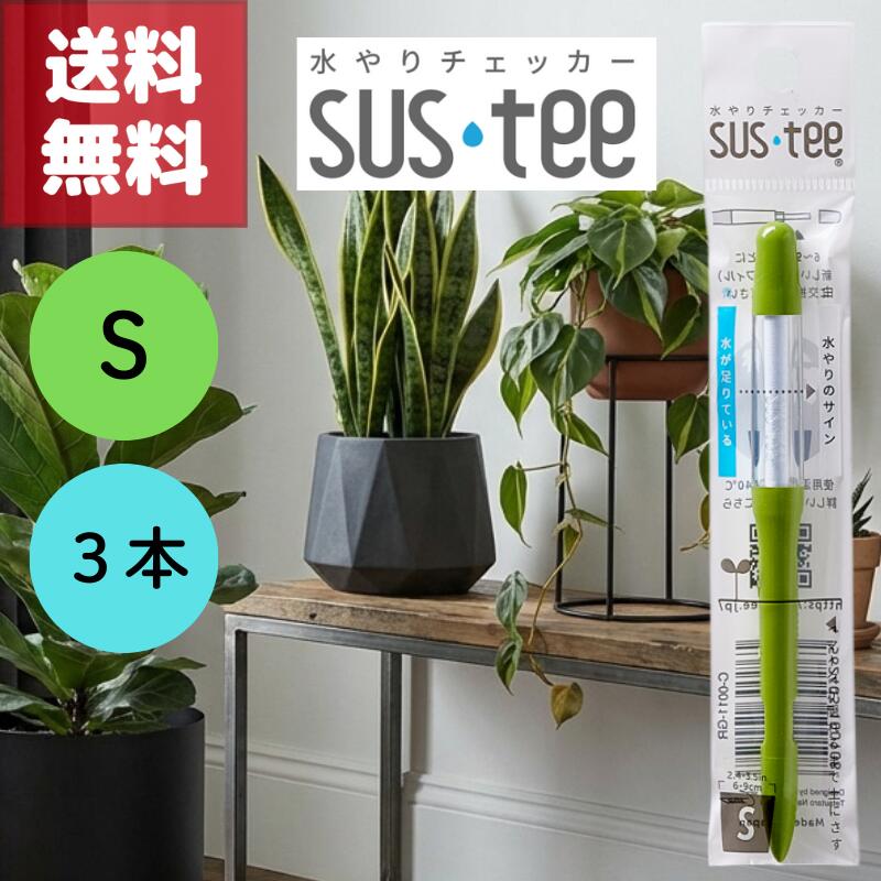 (楽天マラソンでポイントアップ＆最大2000円オフクーポン配布中）送料無料 3本セット S グリーン 緑 サ..