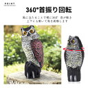 googoogoo:10000055のサンプル画像2