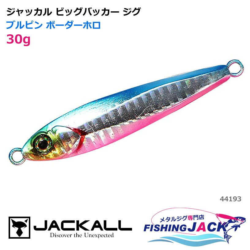 Rakuten - ジャッカル ビッグバッカー ジグ 30g ブルピン ボーダーホロ