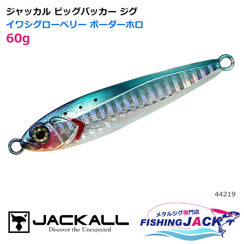 Metal Jig - ジャッカル ビッグバッカー ジグ 60g イワシグローベリー ボーダーホロ