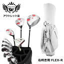 アウトレット 訳あり 展示品 WE F-01αメンズゴルフクラブセット CBR5 ホワイトバッグ付き 右利き用 フレックスR