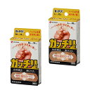 スポーツ 仕事 日常生活 サポーター ニチバン ガッチリ バン M サイズ 14枚 X-84/L サイズ 10枚 X-85 【IR】