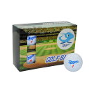 ゴルフ用品 ラウンド用品 ゴルフボール プロ野球!NPB!中日ドラゴンズ ゴルフボール 6個入り CDBA-4772 【IR】