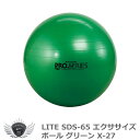練習用品 ゴルフ 室内 レッスン ライト SDS-65 エクササイズボール グリーン X-27 【IR】