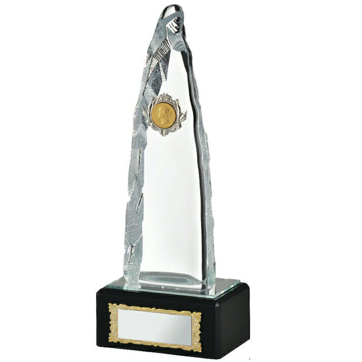 ちらの商品はタイプ：Cのみの販売となります。 215（高さ：mm）約655（重さ：g）　プレート：25×63 光学ガラス・木製台・真鍮型打ちマーク ※光学ガラス製品は1個ずつ手加工の為、製品サイズに若干の誤差があります 優勝 トロフィー 景...