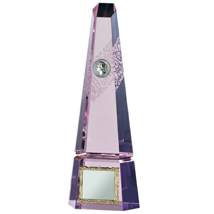 こちらの商品はタイプ：Cのみの販売となります。 190（高さ：mm）約595（重さ：g）プレート：31×37 光学ガラス・真鍮型打ちマーク・裏サンドブラスト ※光学ガラス製品は1個ずつ手加工の為、製品サイズに若干の誤差があります。 優勝 ト...