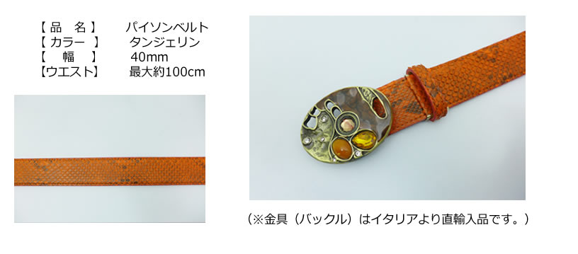 メンズ スポーツ ベルト motion パイソンベルト サイド タンジェリン SZ-ZB0240/8A...