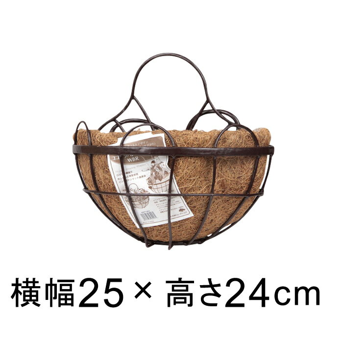 ココナツプランター 壁掛け 25cm ハンギング 自然素材 フック付き