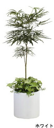 ��󥰥ݥå� R34�� �Ĥ�ͭ �ڥ᡼����ľ�������˻����Բġ�Ʊ���Բġ�����Բġ������Բġۡڥե����С����饹ȭ��