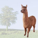 y[J[EsEsEԕiszApJ̔΂ / Alpaca